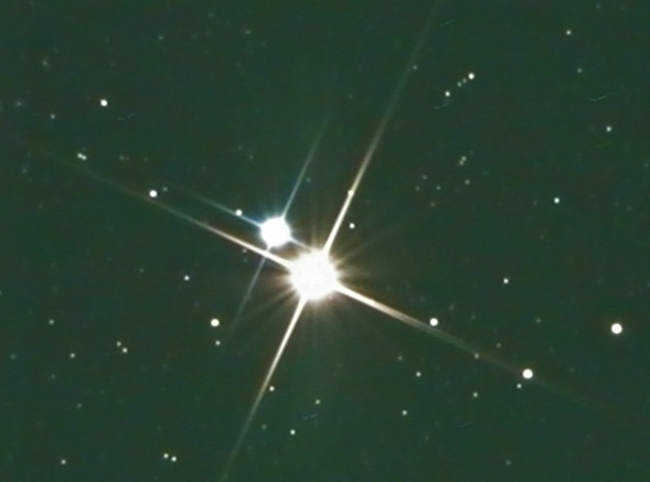 Albireo