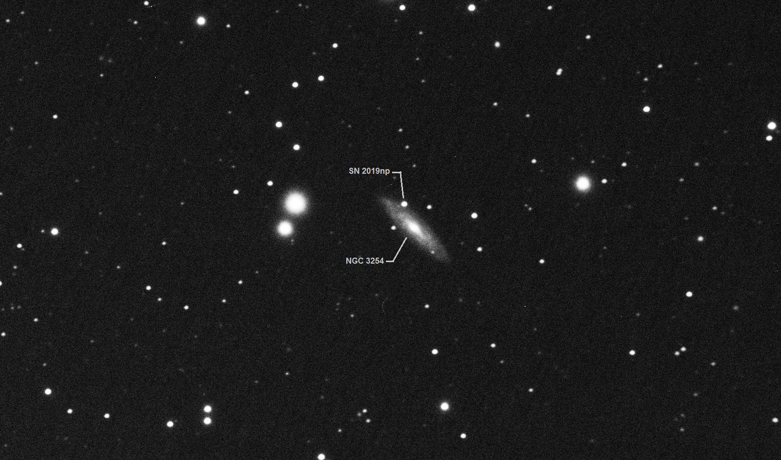 NGC-3254_SN-2019np_annotated_2019-02-10.jpg