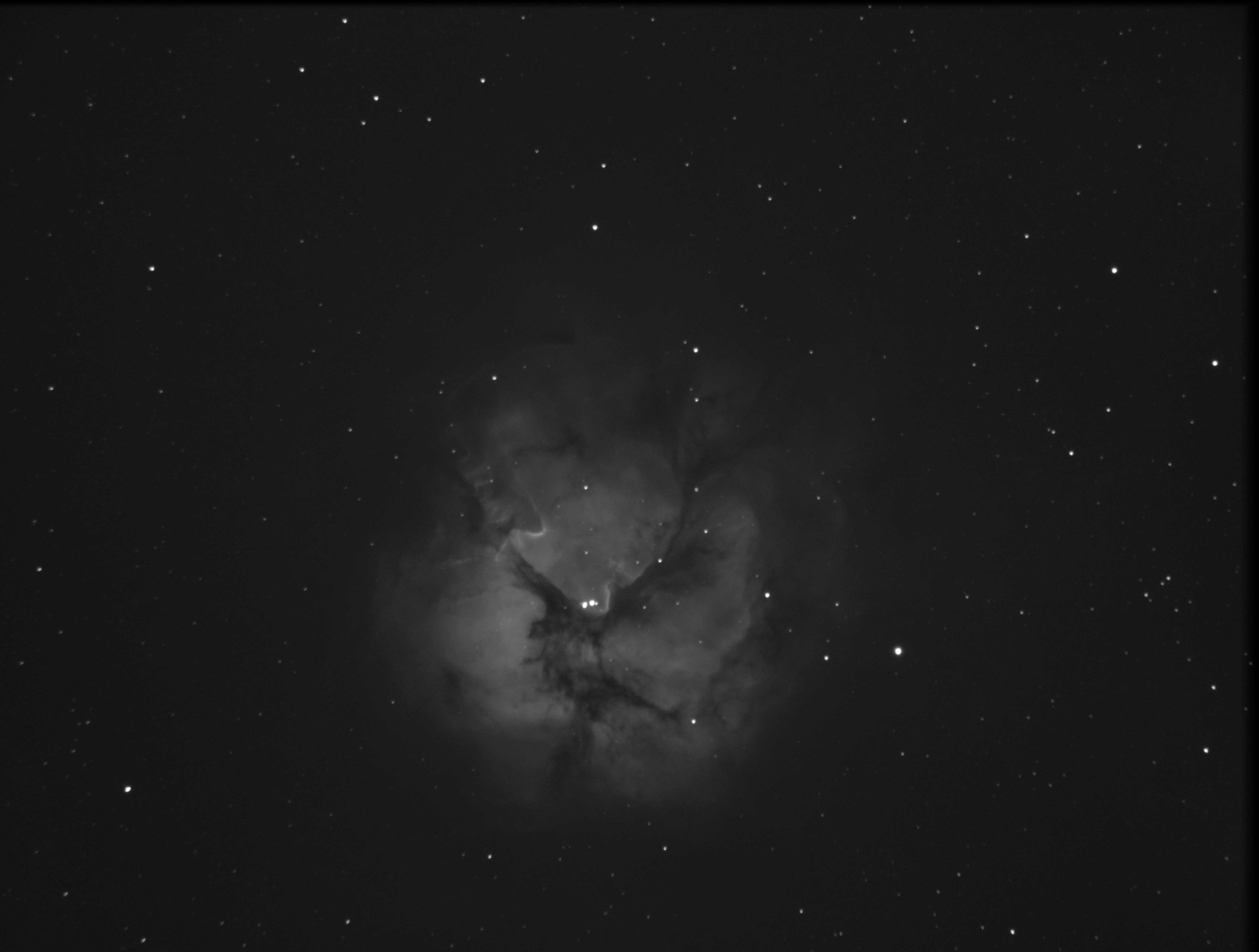 Trifid Nebula.jpg
