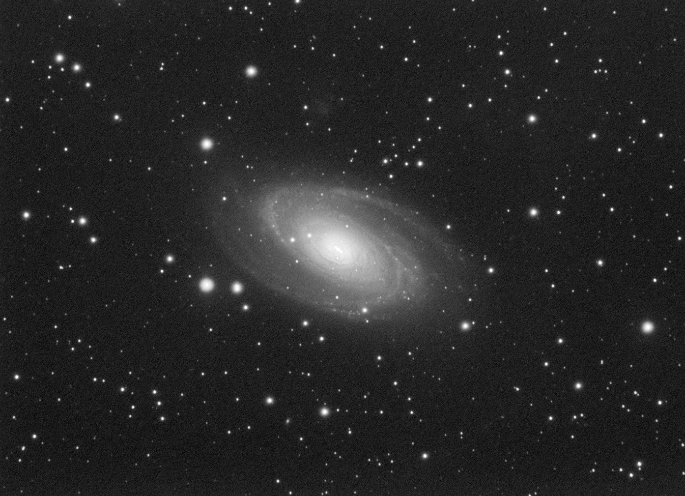 M81_L_100x90s.jpg