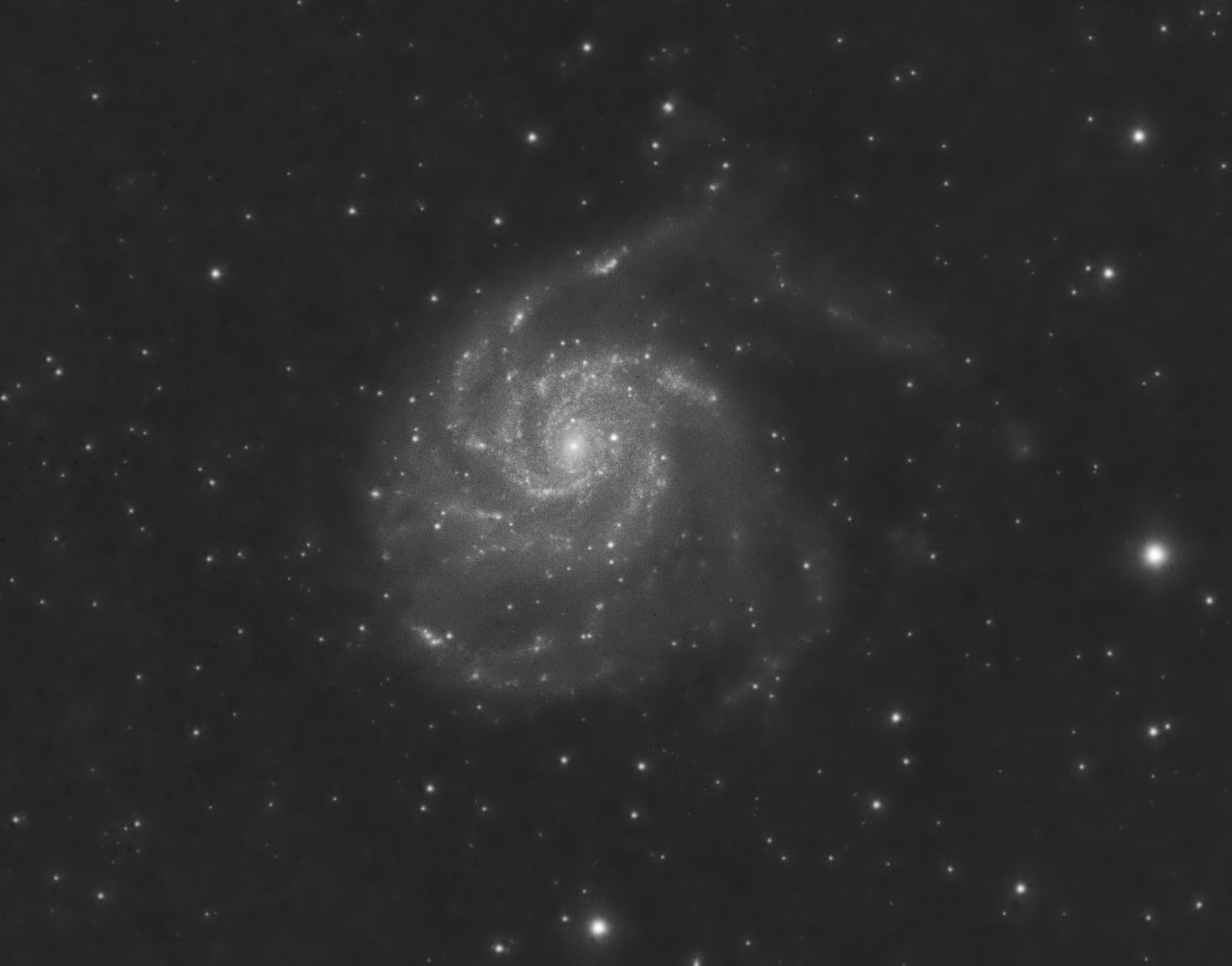 M101 cropped.jpg