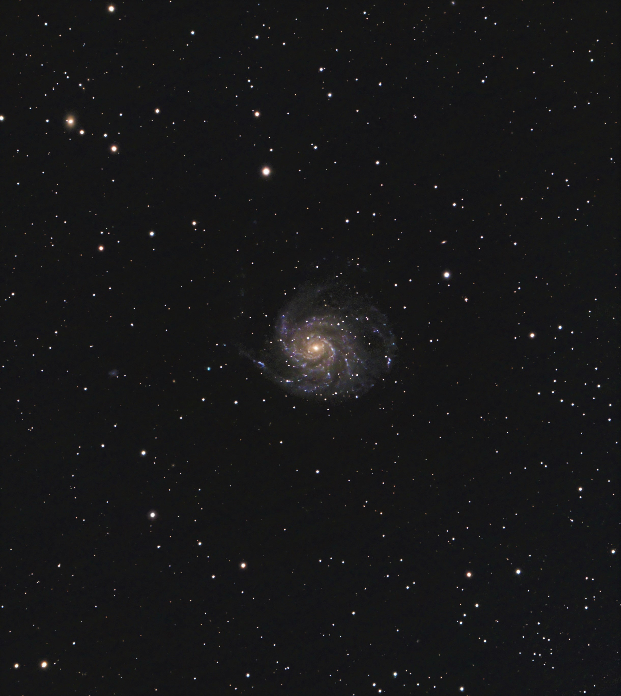 M101v2.jpg