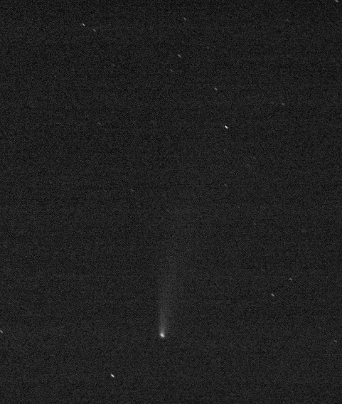 NEOWISE 2020-07-20 ISO800 12s Kodak DX6490 BMorgan.JPG