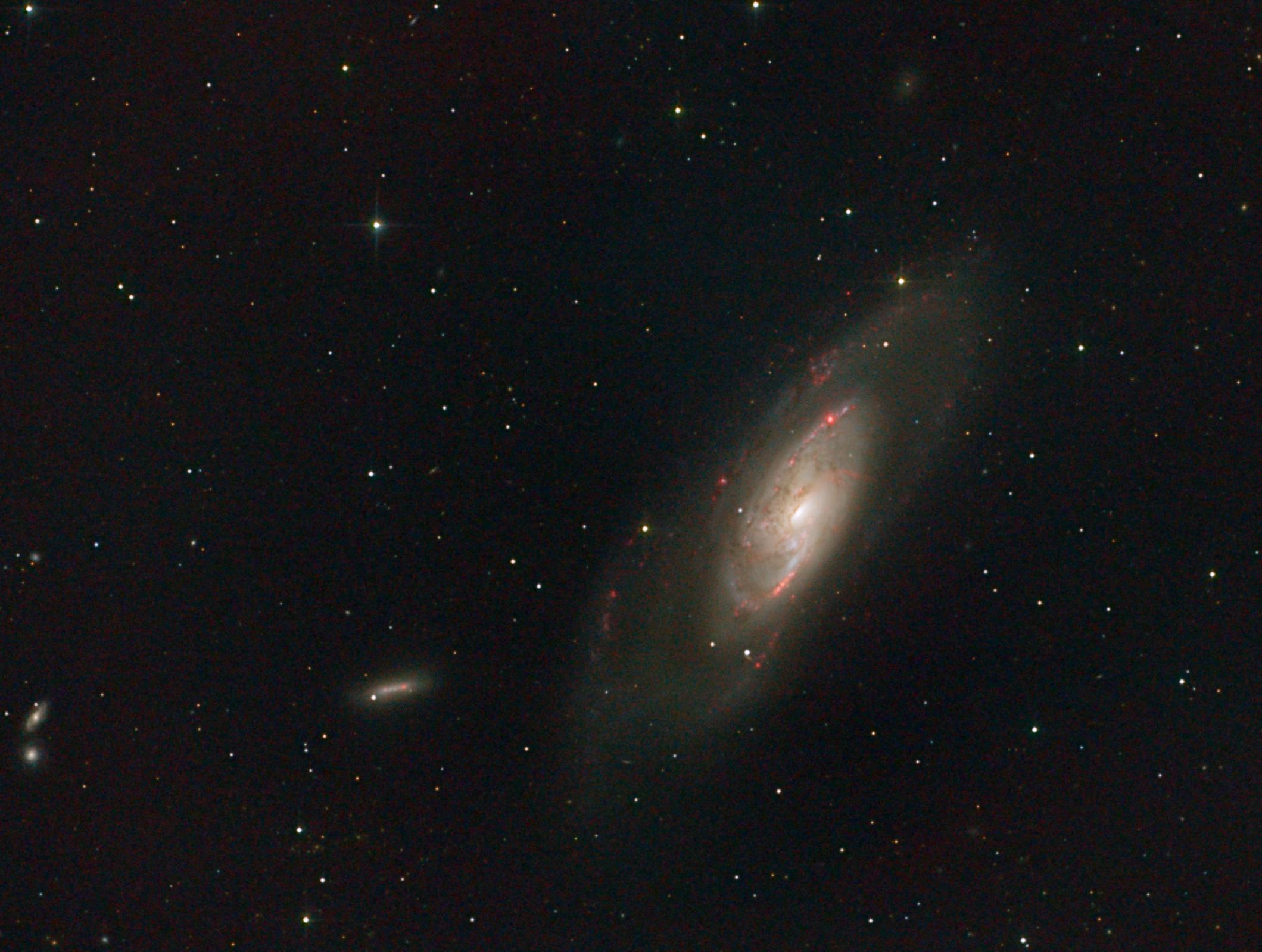 M106_Newt_0.9X_2101_060421_290x40s_gain124_ABE_SCNR_PCC__plusPix_51x3minHA_gain124toRED_MLT_starmsk_Trans_curves_MLT_PX_small.jpg