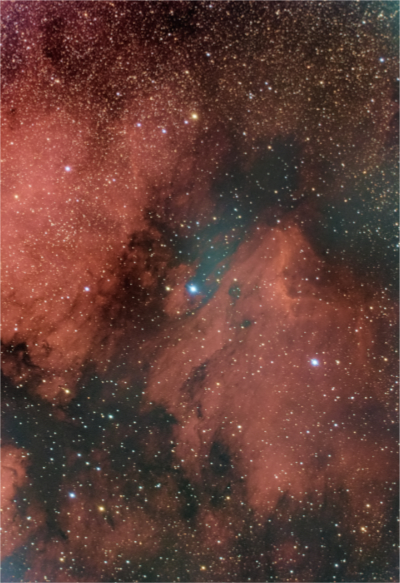 North_American_Nebula-fy-90degCW-1.0x-LZ3-NS-SC-St-AFF-resize-more.jpg