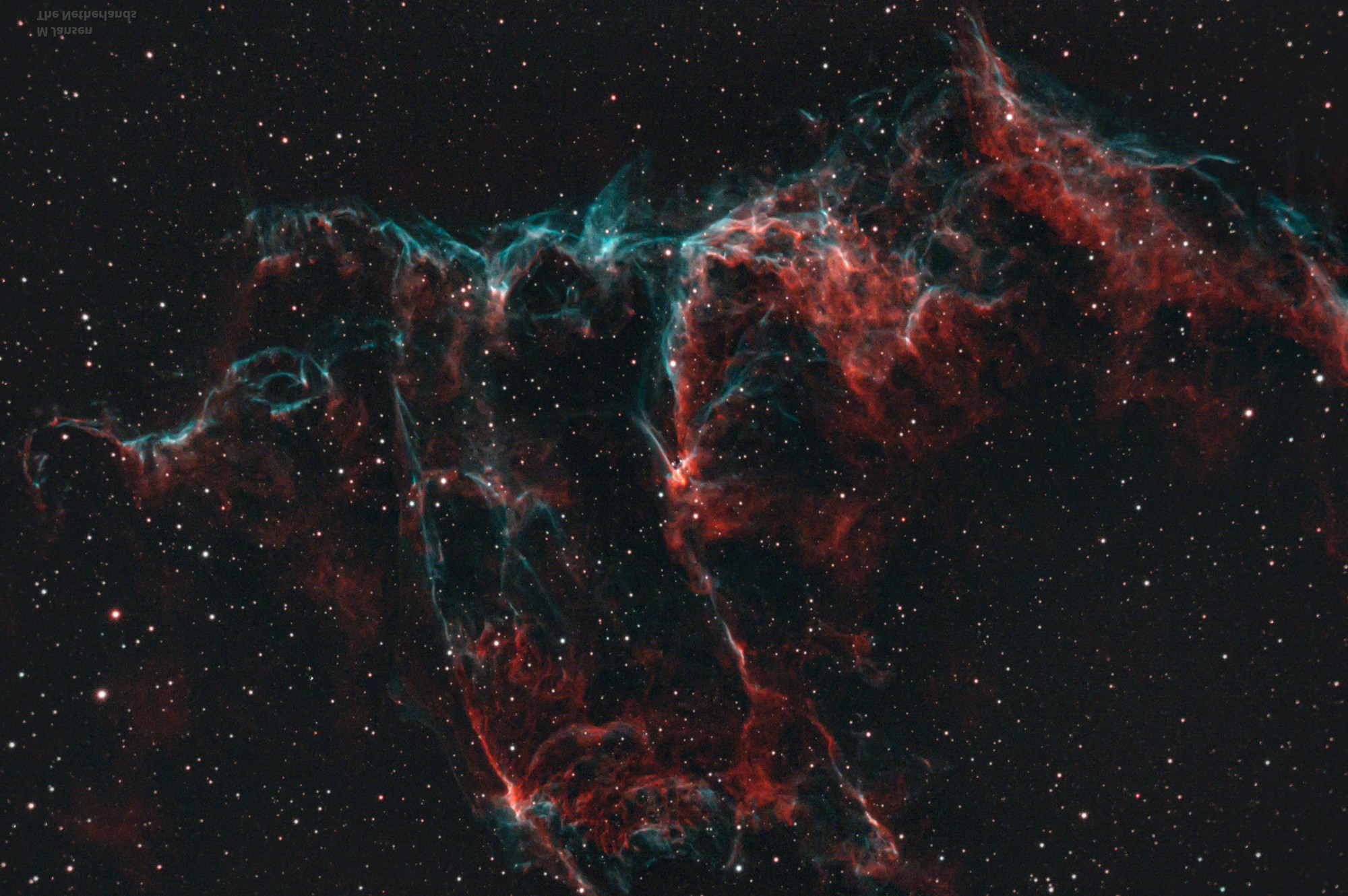 NGC 6995sc.jpg