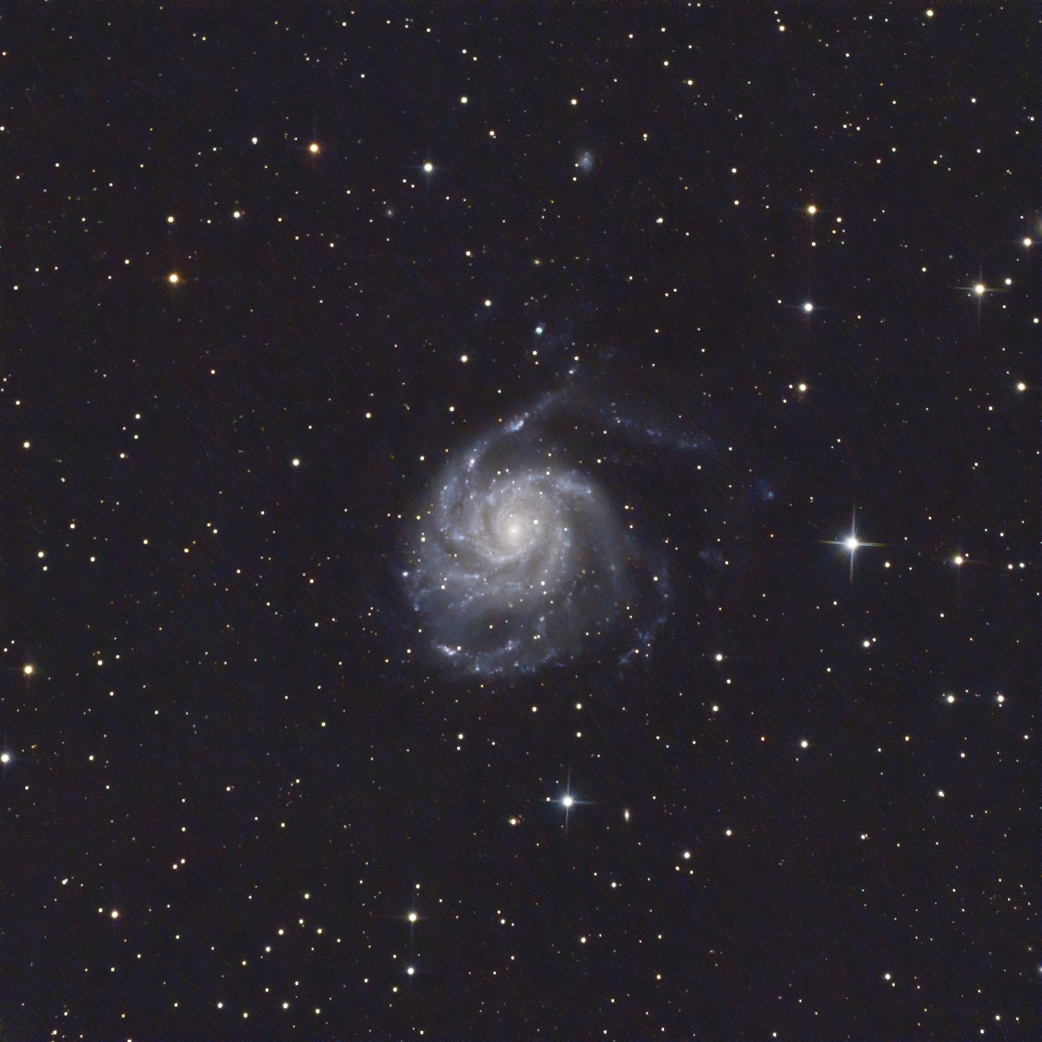 M101x60of63L-lpc-cbg-csc-St.jpg