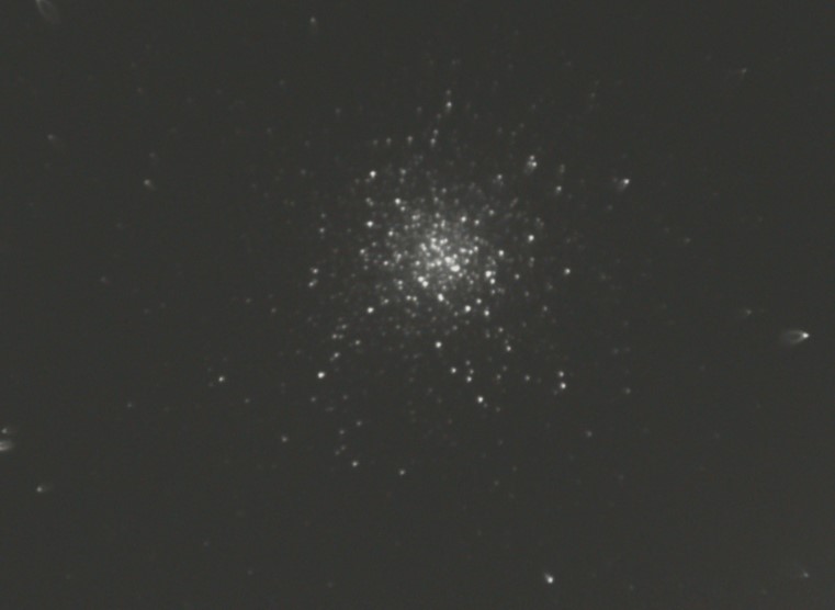 M13.jpg