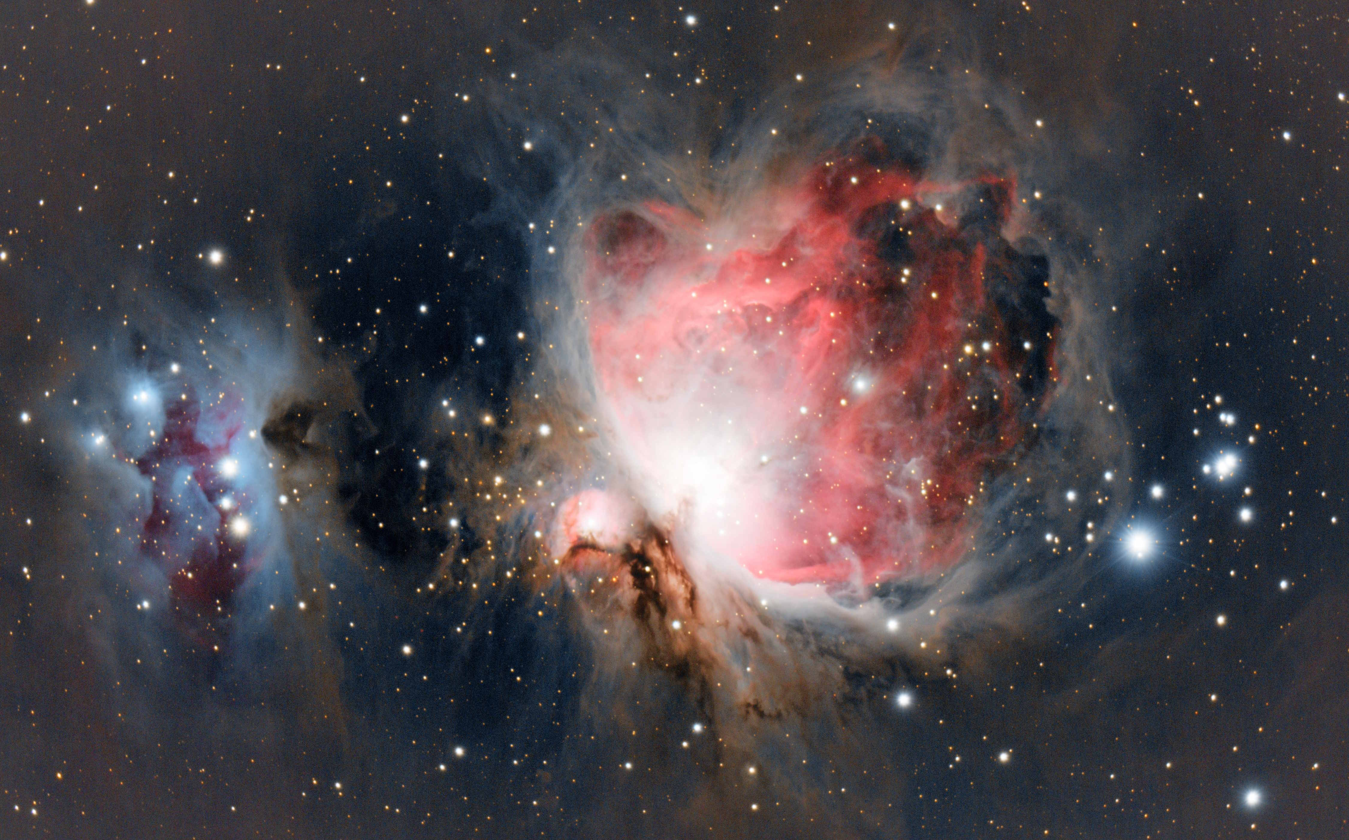 M42 sharpcap view.jpg