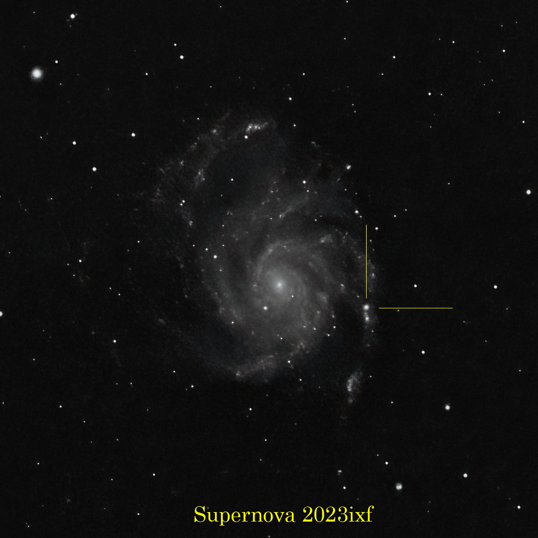M101_1080_Supernova 2023ixf.jpg
