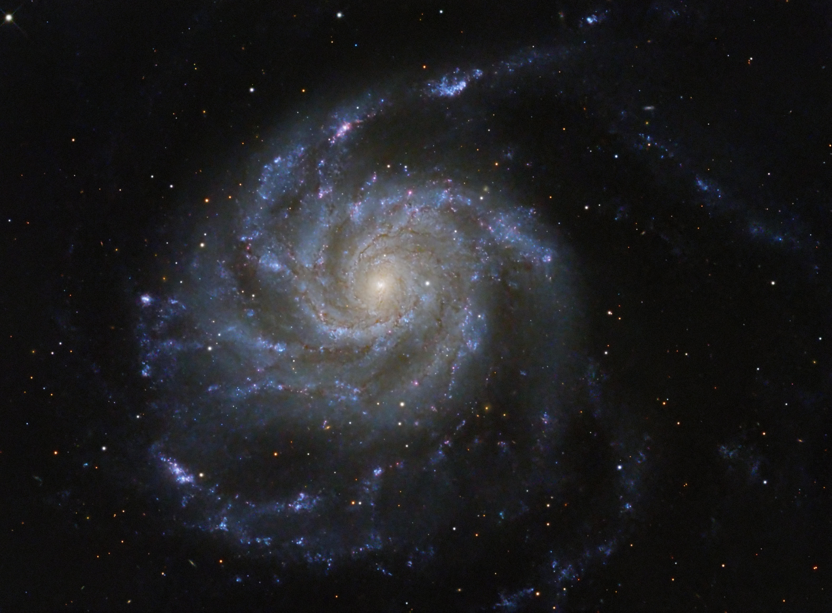 M101_sized.jpg